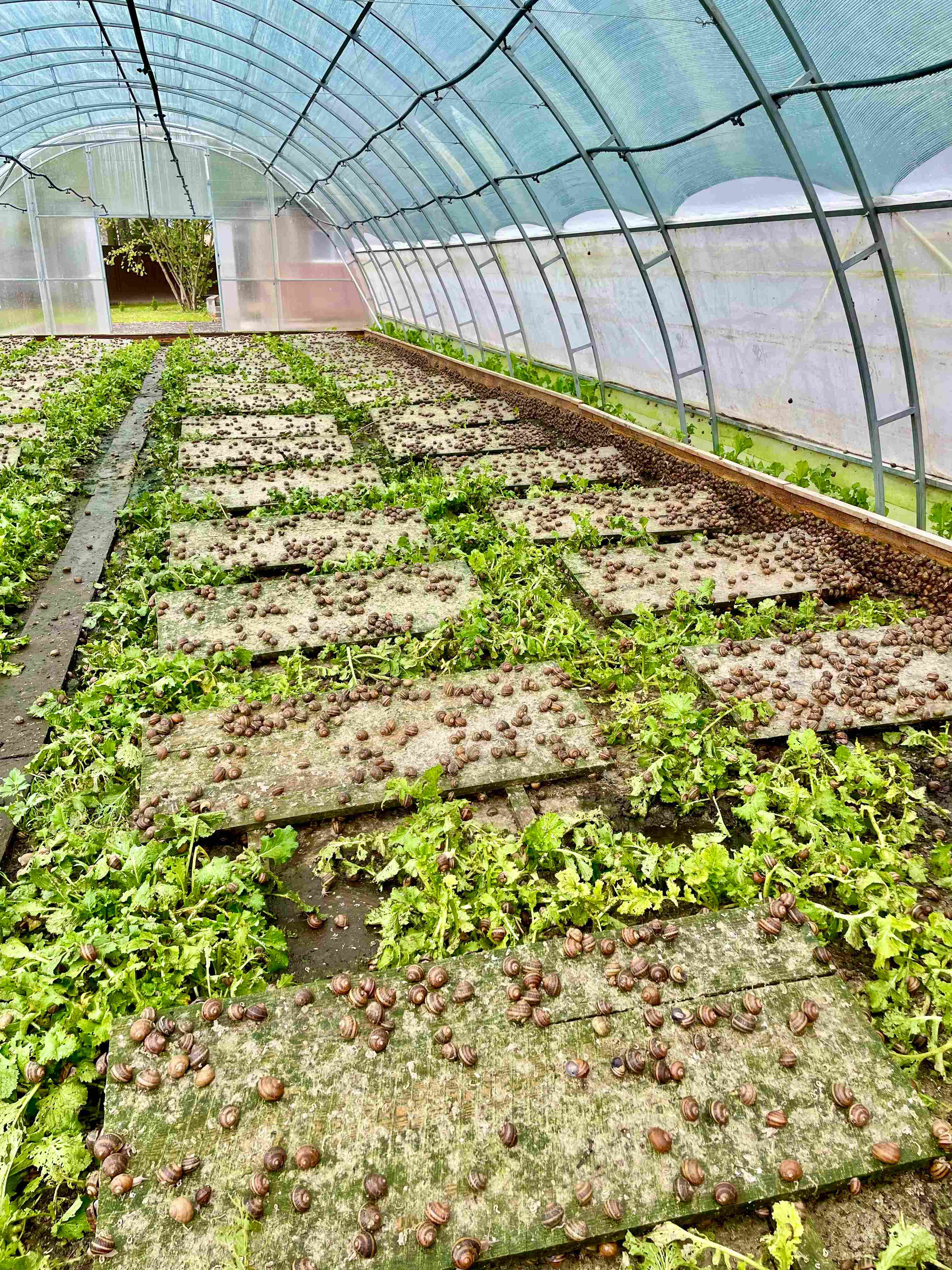 2023 10 06 11 34 34 1739990884